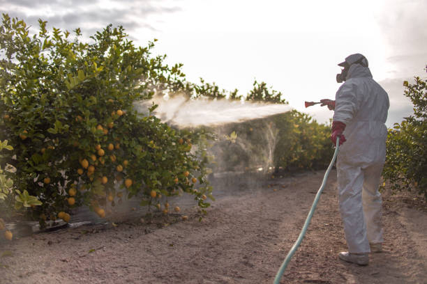 Insect Control in Summer Set, MO